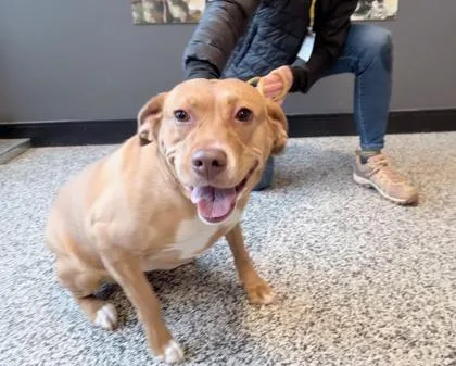 Maddie Fka Leta thumbnail 3