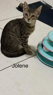 Jolene thumbnail 3