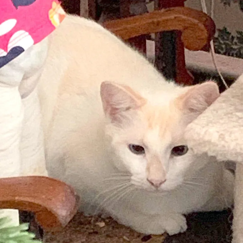 Bonded Brothersfreddie & Velma thumbnail 2