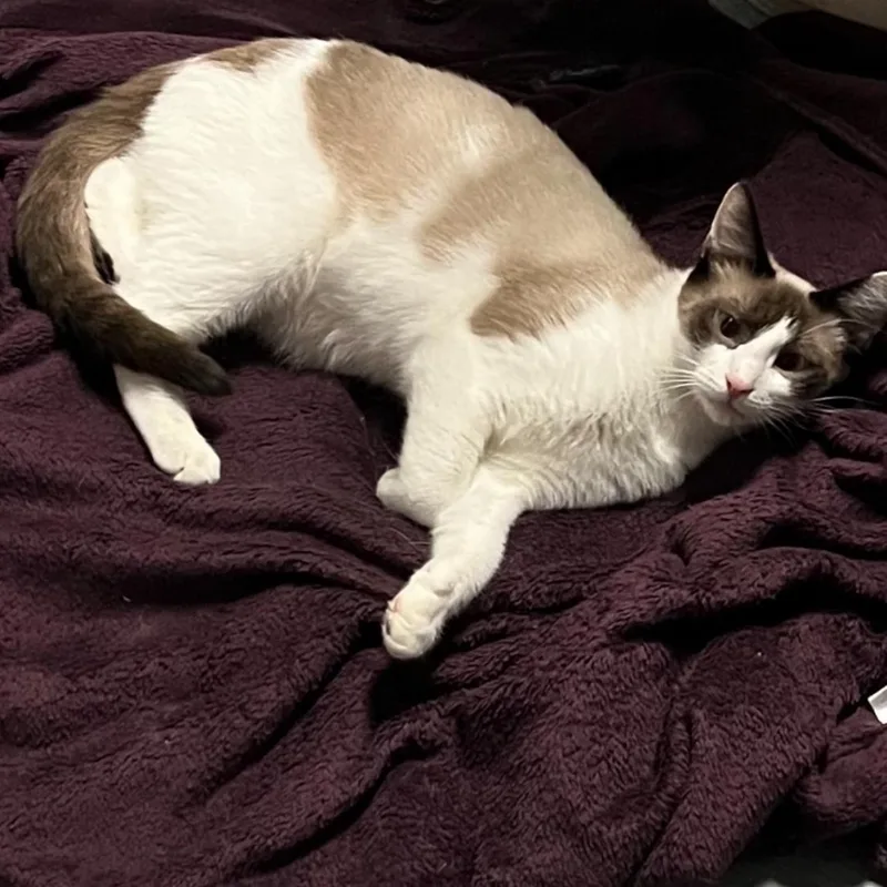 Bonded Brothersfreddie & Velma thumbnail 3