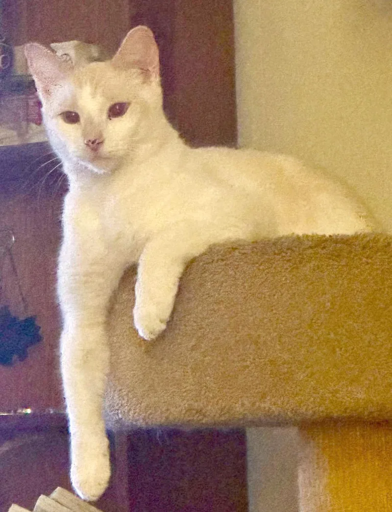 Bonded Brothersfreddie & Velma thumbnail 4