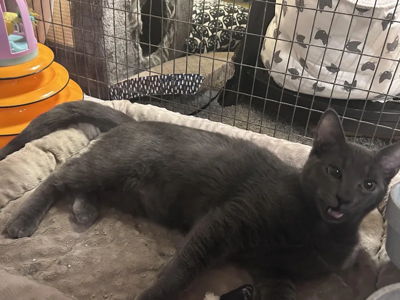 Surfer Dude thumbnail 2