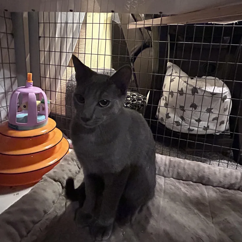 Surfer Dude thumbnail 3