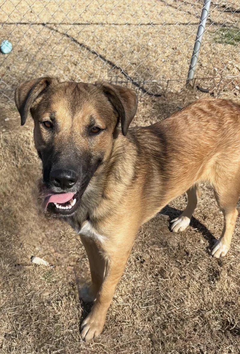 Jack   $ thumbnail 2