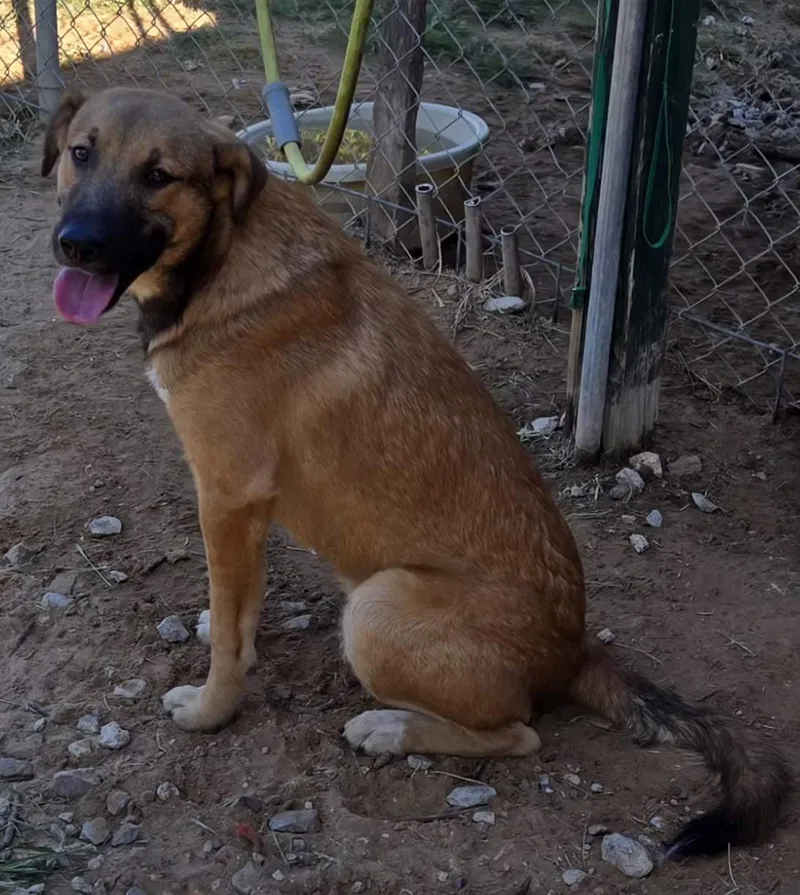 Jack   $ thumbnail 3