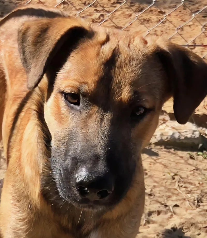 Jack   $ thumbnail 4