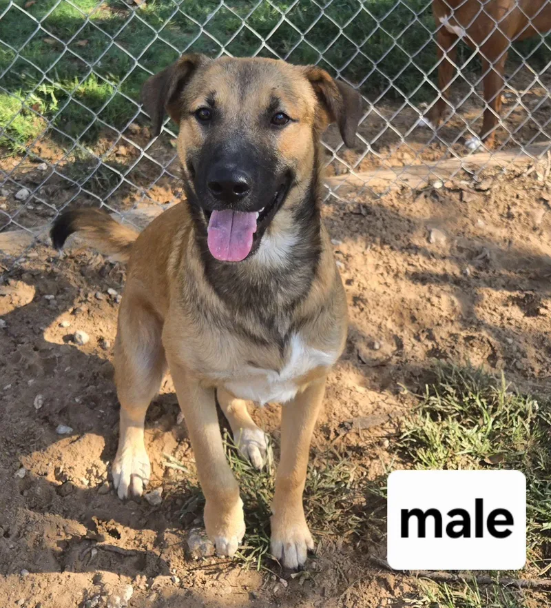 Jack   $ thumbnail 5