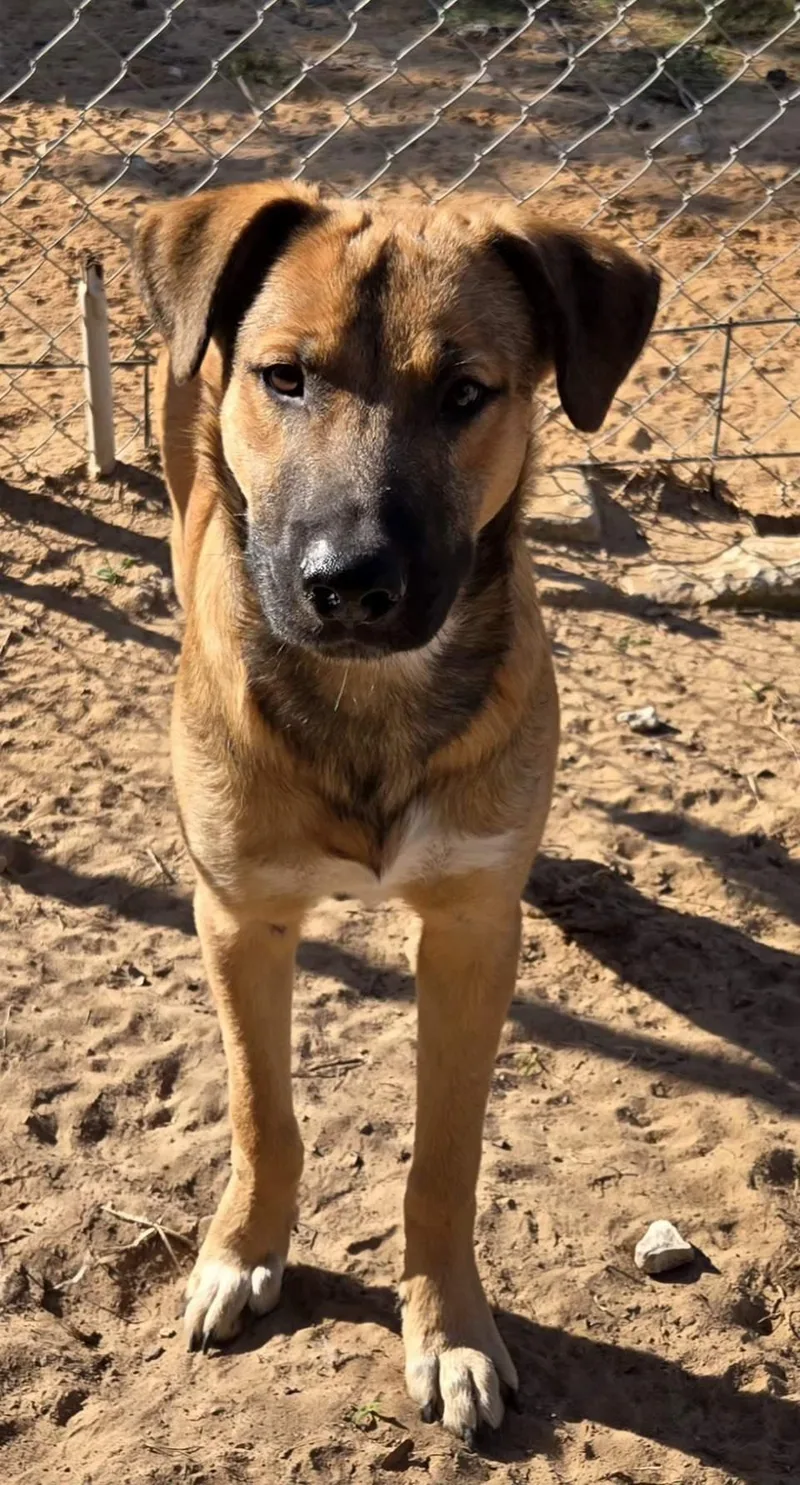 Jack   $ thumbnail 6