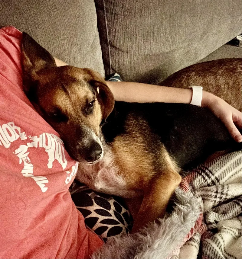 Jimi Jules thumbnail 2