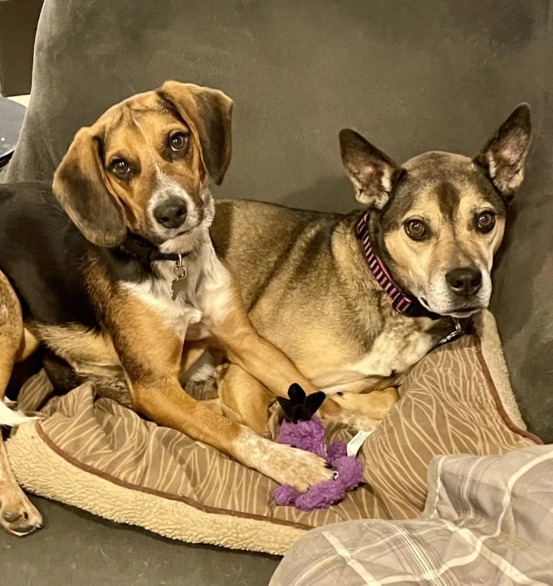 Jimi Jules thumbnail 3