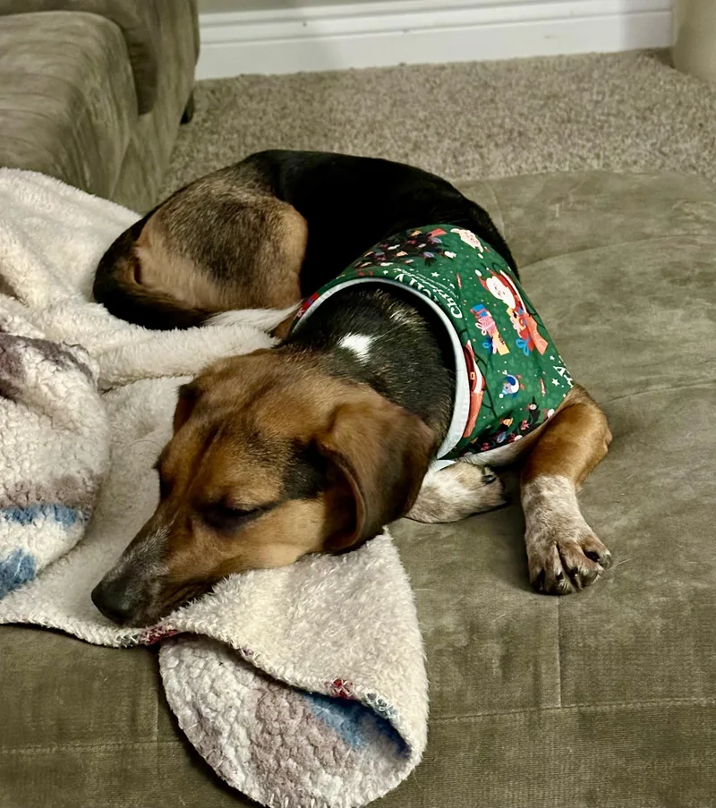 Jimi Jules thumbnail 4