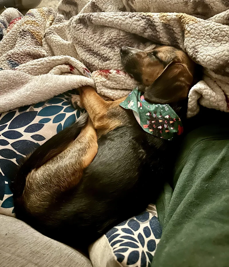 Jimi Jules thumbnail 5