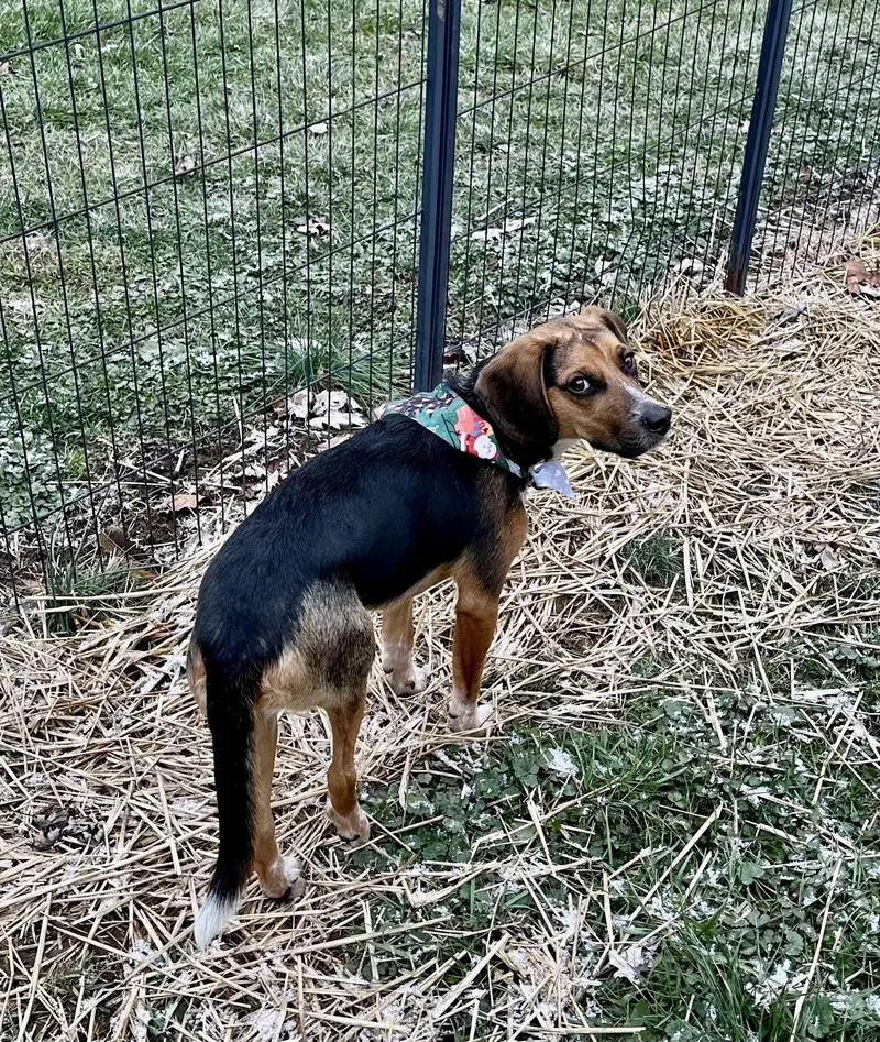 Jimi Jules thumbnail 6