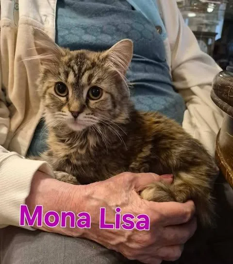 Mona Lisa thumbnail 2