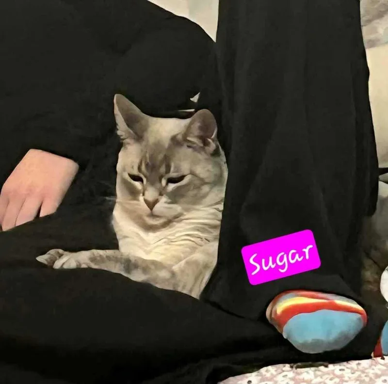 Sugar