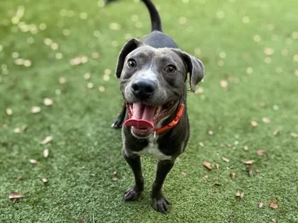 Benjamin Franklin thumbnail 2