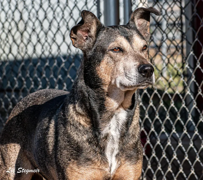 Rhea And Tali thumbnail 2