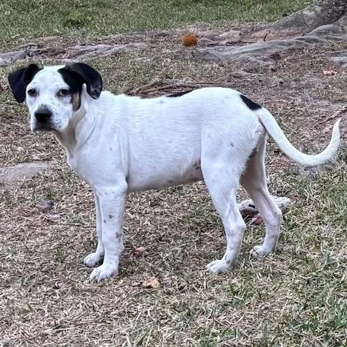 Tony  Fun And thumbnail 2