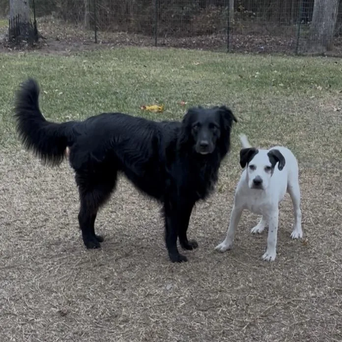 Tony  Fun And thumbnail 5