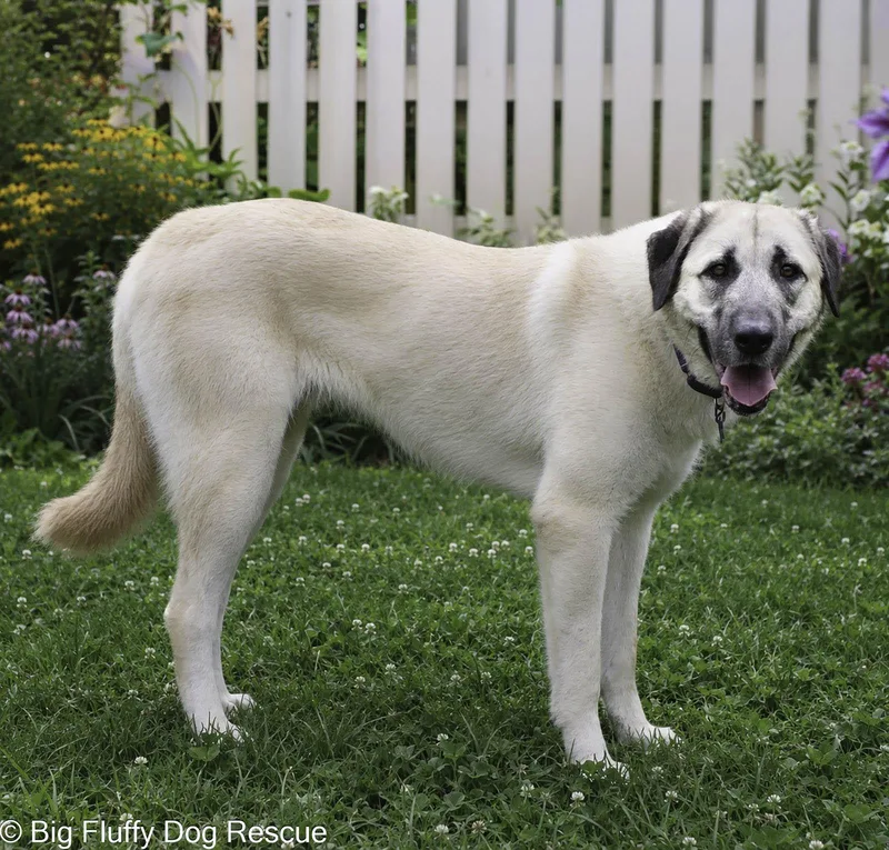 Romy thumbnail 2