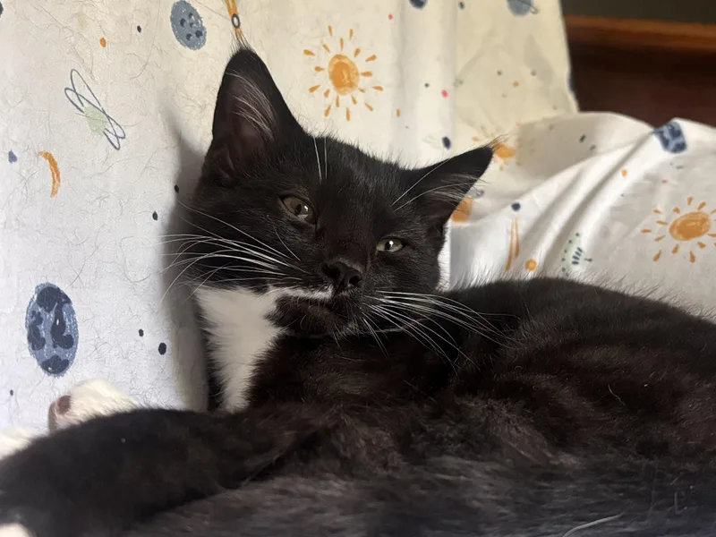 Zoe