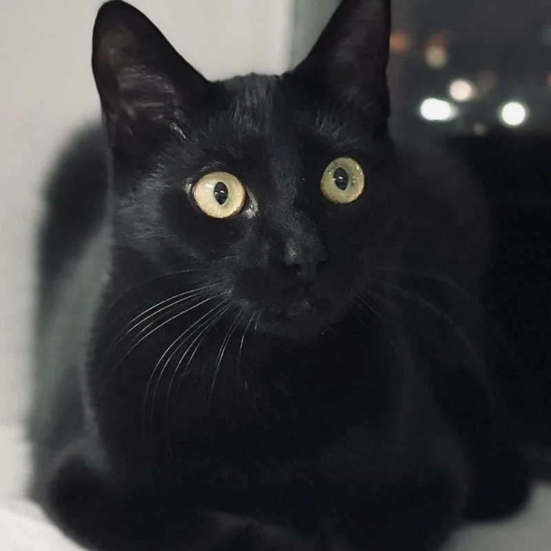 Juicy Fruit thumbnail 2