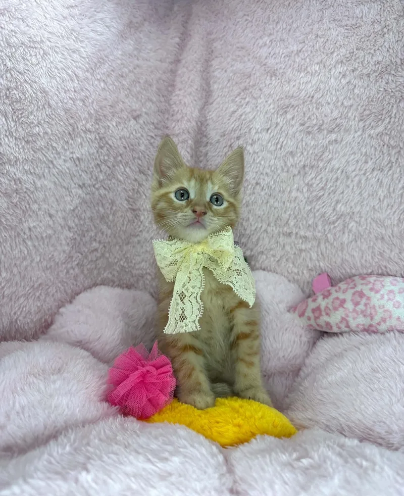 Winnie