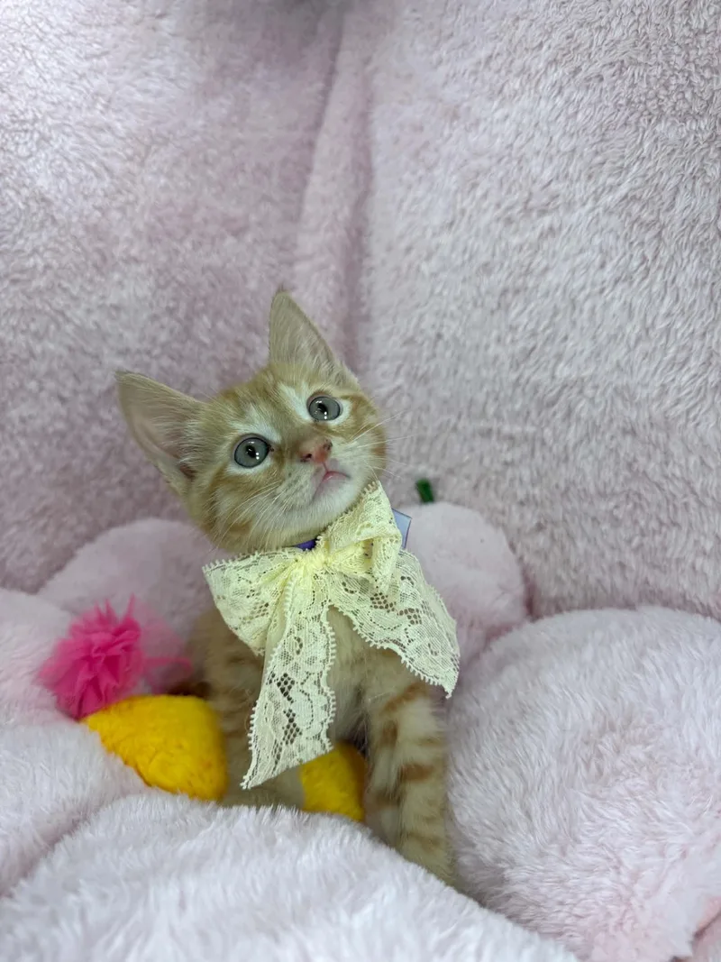 Winnie thumbnail 3