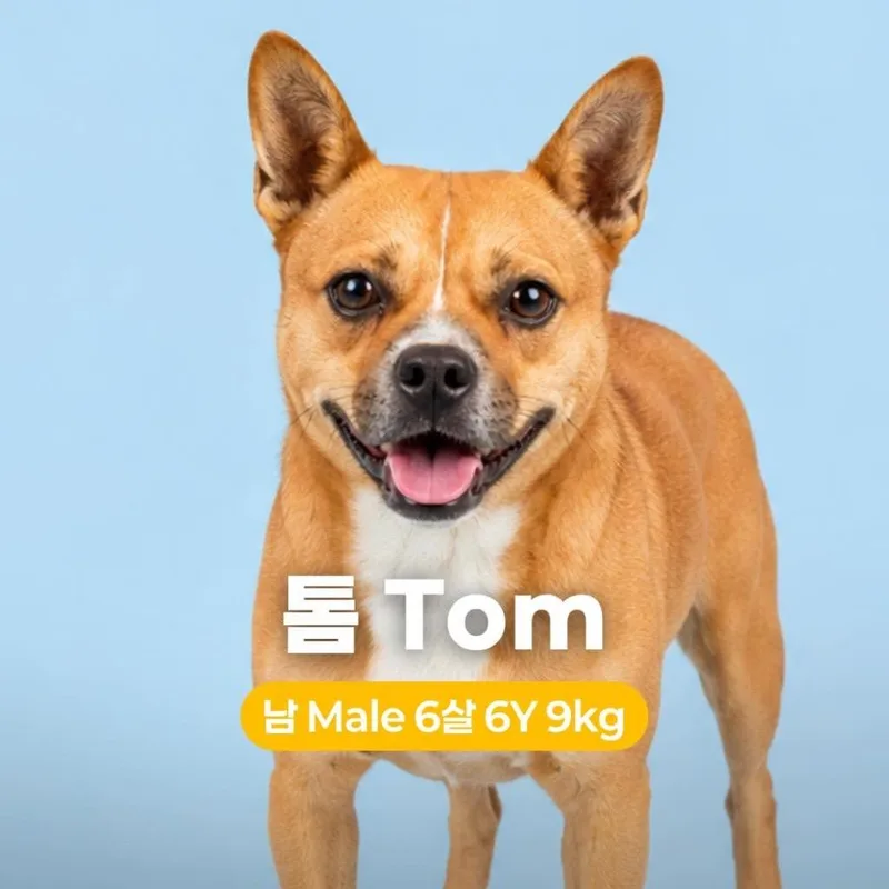 Tom
