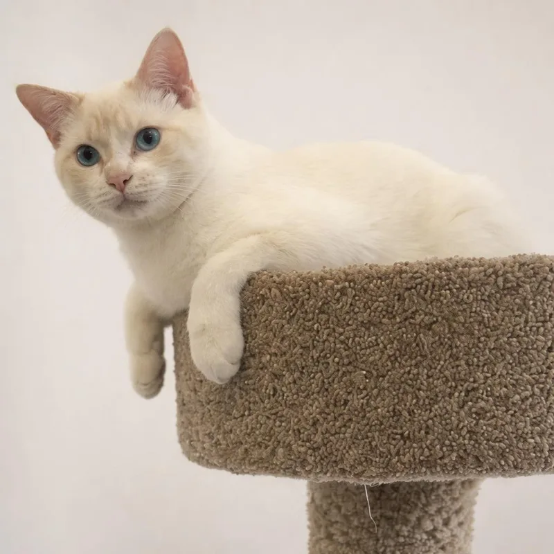 Coco & Oliver thumbnail 5