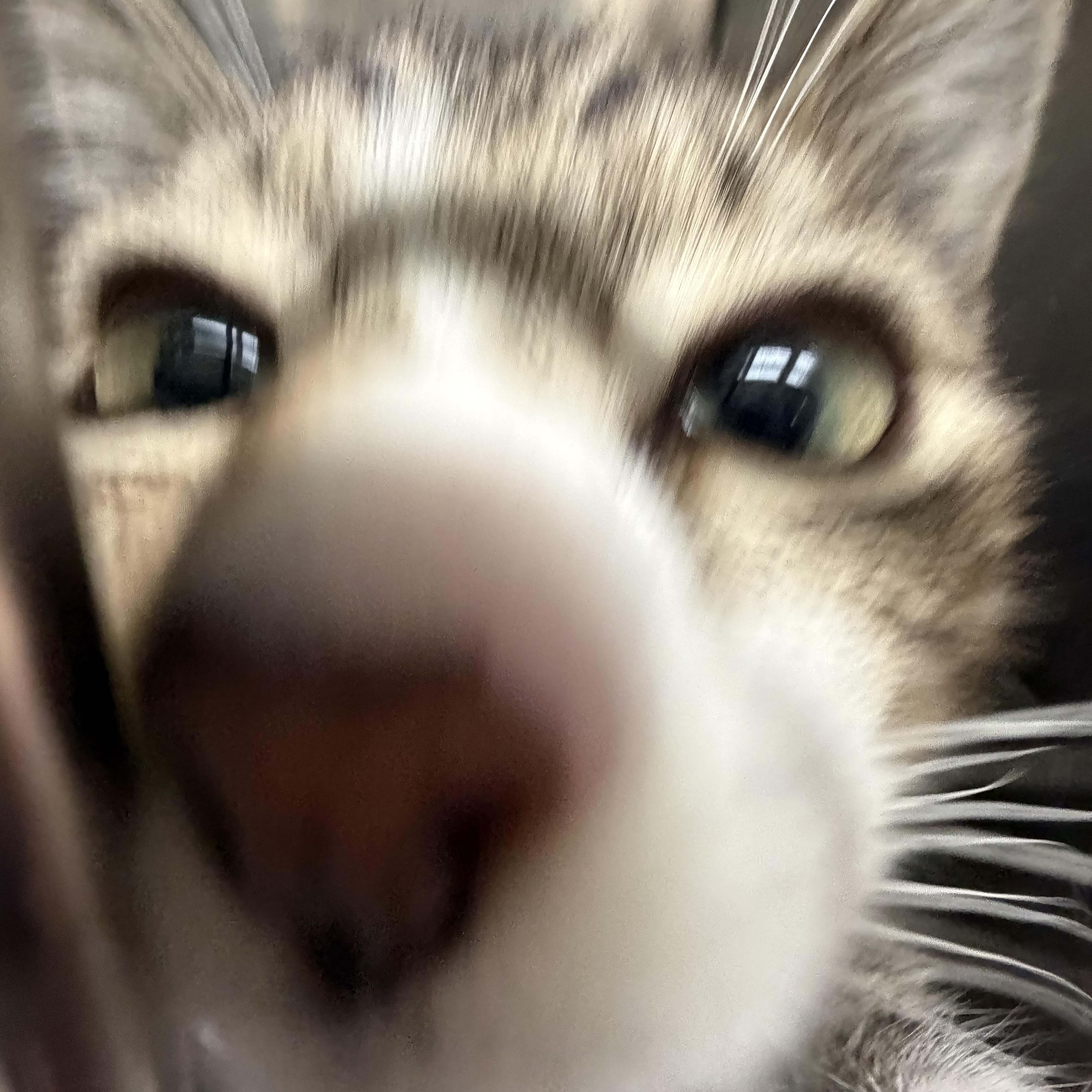 Crackle thumbnail 3