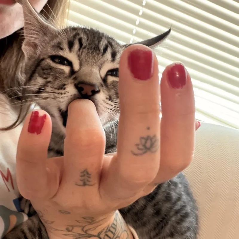 Mr. HissyPants thumbnail 2