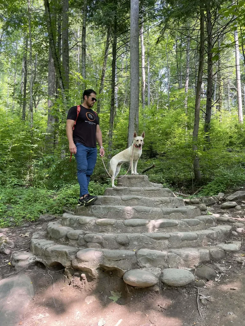 Sigrit  Year Old thumbnail 2