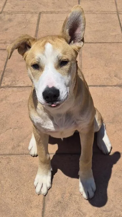 Zeus