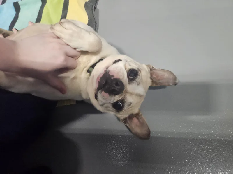 Leia thumbnail 3