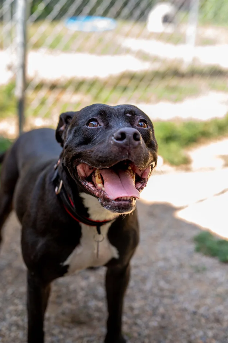 Murphy James thumbnail 2