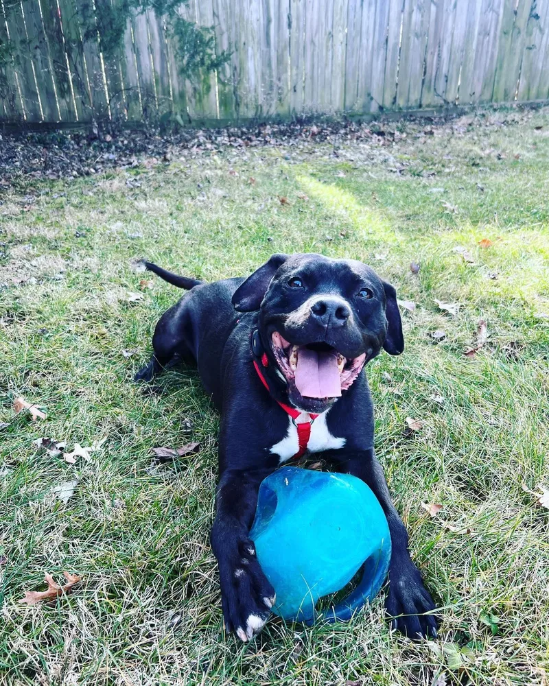 Murphy James thumbnail 4