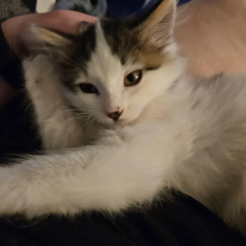 Rhea Bonded To Kevin