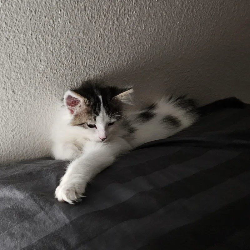 Rhea Bonded To Kevin thumbnail 2