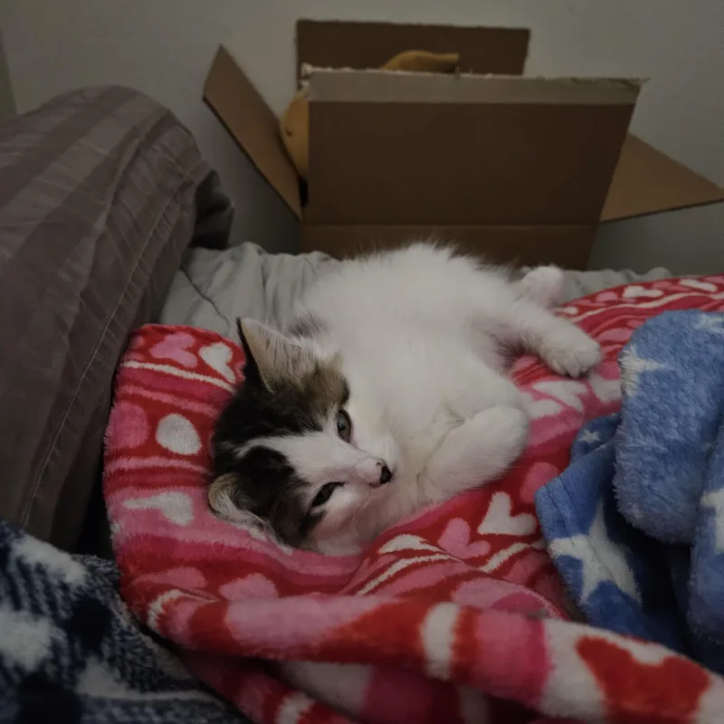 Rhea Bonded To Kevin thumbnail 3