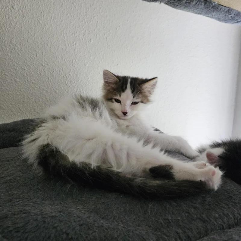 Rhea Bonded To Kevin thumbnail 4
