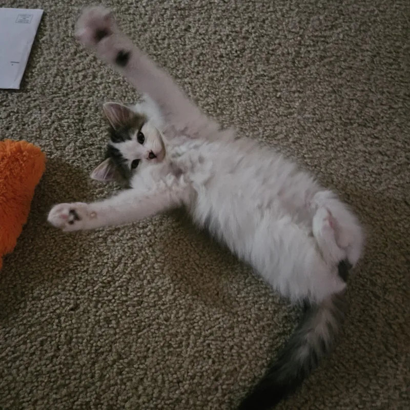 Rhea Bonded To Kevin thumbnail 5