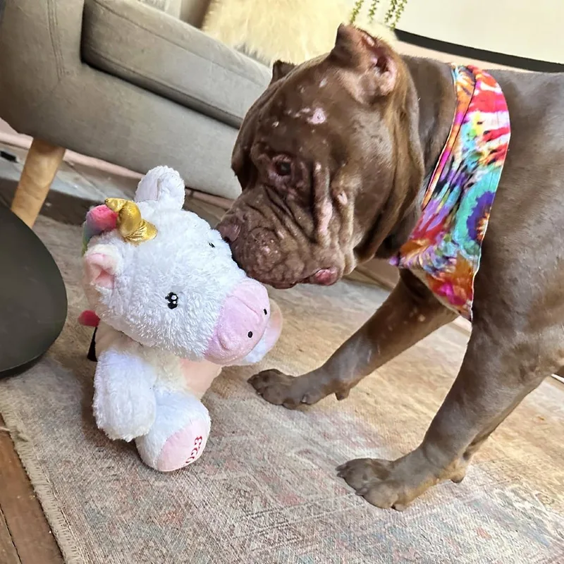 Mr Edison thumbnail 2