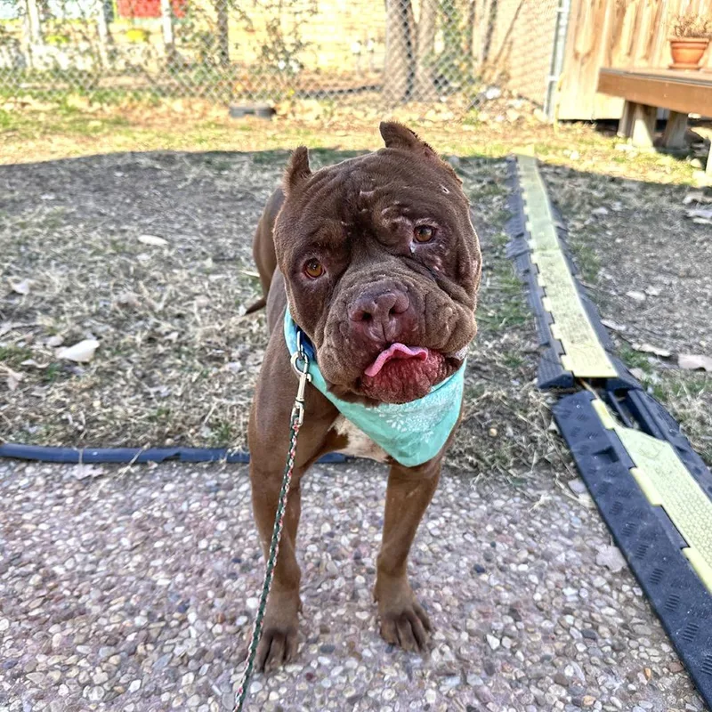 Mr Edison thumbnail 5