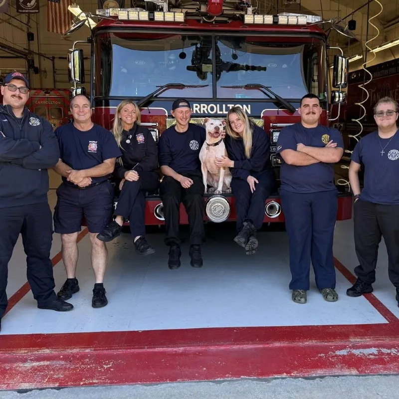 Woo Girl thumbnail 2