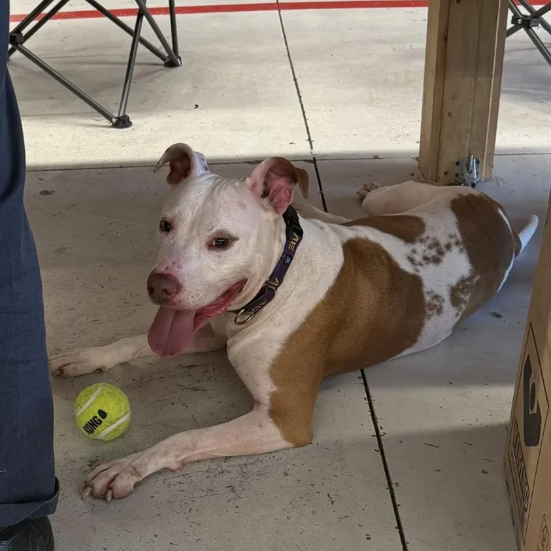 Woo Girl thumbnail 3