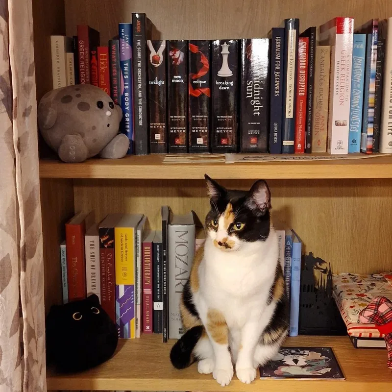 Bcas Ursula thumbnail 2