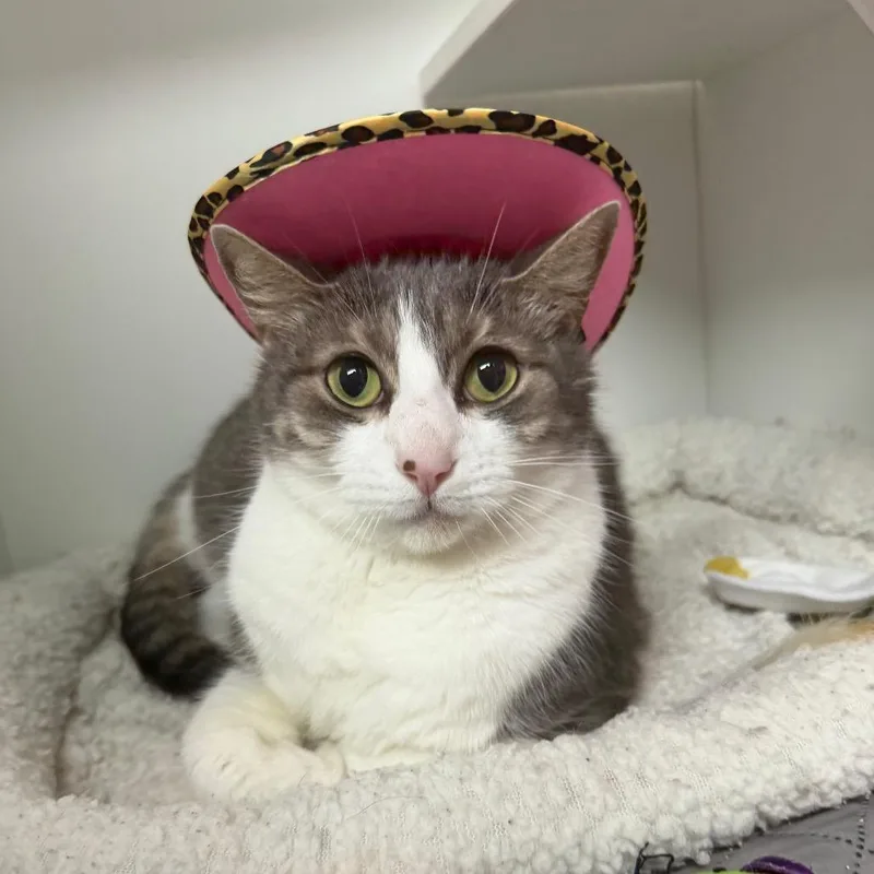 Kevin thumbnail 3