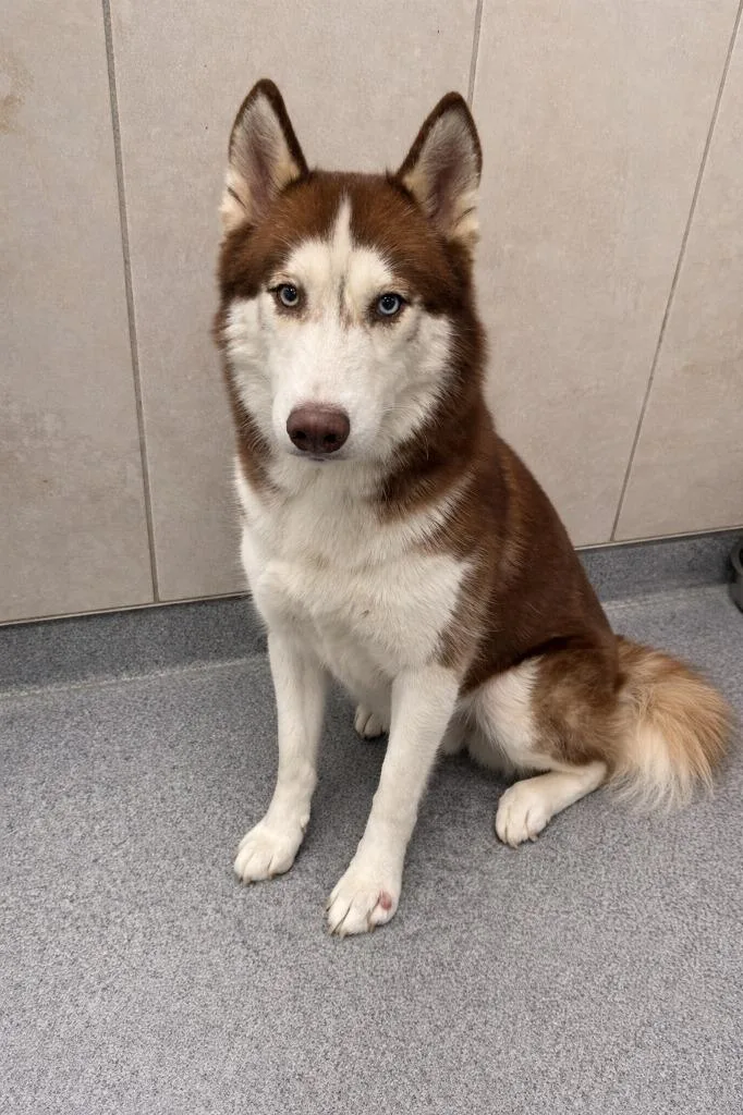 Hopper Yrly thumbnail 2