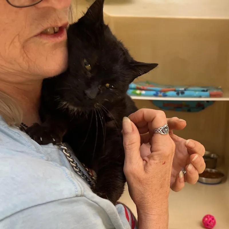 Ms Daisy thumbnail 2